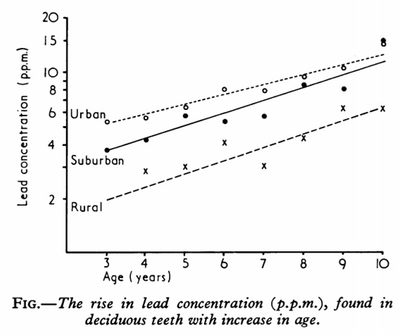 lead accumulates in bones and teeth